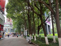 -绵阳人民公园(涪城区)