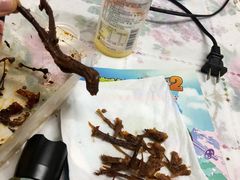 -周黑鸭(北京丰台区方庄物美玉蜓桥店)