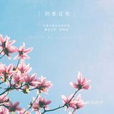 出门下楼去小区里赏春吧！
