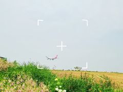 -空港花田景区