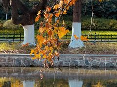 -东南大学(九龙湖校区)