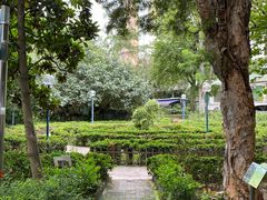 -九龙公园