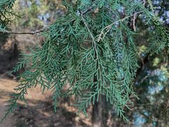 -北京金海湖景区