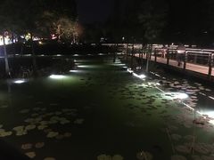 -映月湖公园