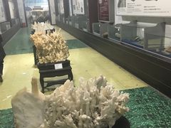 -游龙石文化科普馆