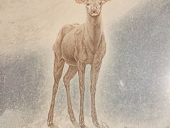 -江苏省美术馆(长江路新馆)