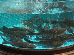 -梁家大院•农家菜(昆山会展中心店)