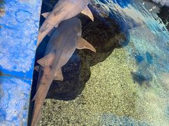 -鸿通城购物中心