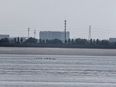 -观潮胜地公园