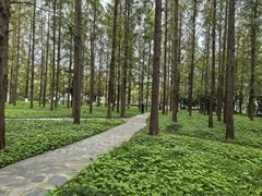 -上海交通大学(闵行校区)