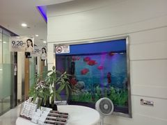 -雅悦齿科(顾村公园店)