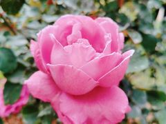 -人民公园(罗湖区)