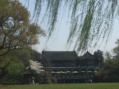 -西湖外事游船(花港观鱼码头)