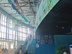 -海合安成都极地海洋公园
