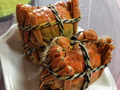 -乡乐园蟹庄·阳澄湖农家乐