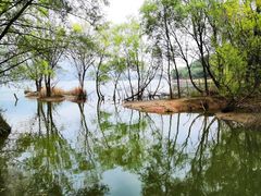 -十三陵水库