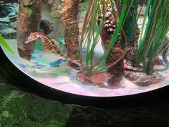 -沈阳海洋探索中心