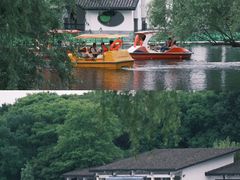 -上海共青森林公园