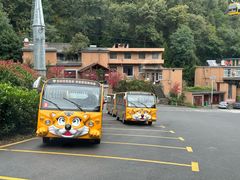 -栾川竹海野生动物园