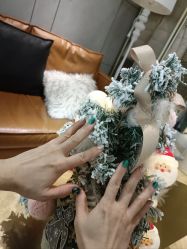 -丽尔美睫