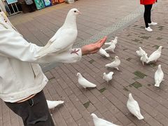 -王府井奥莱临潼小镇(临潼店)