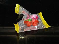 -上海外滩雅致酒店