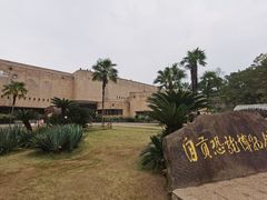 -自贡恐龙博物馆