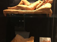 -阿姆斯特丹性博物馆