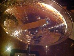 grey goose martini-mezza9