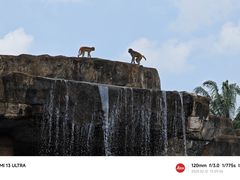 -海南热带野生动植物园