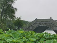 -高子水居