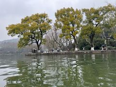 -西湖游船