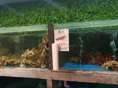 -宝燕海货工场(长江国际店)