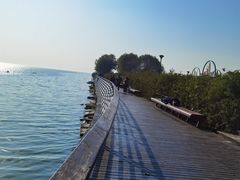 -贡湖湾湿地公园