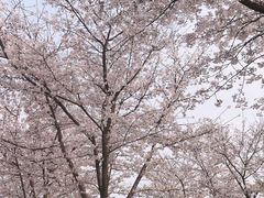 -南京奥林匹克体育中心-体育馆