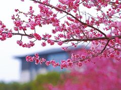 -苏州湾体育公园