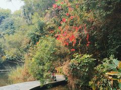 -燕晗山郊野公园