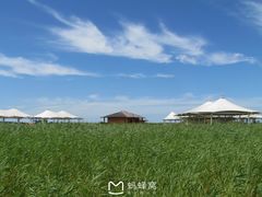 -黑龙江扎龙生态旅游区