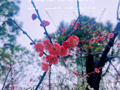 -静安雕塑公园