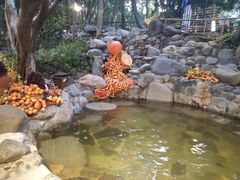 -湖泉半山温泉(湖泉生态园)