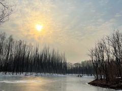 -东郊湿地公园