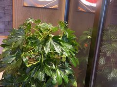 -邵汇大虾火锅(鲁迅路店)