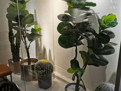 -喜茶(中山利和新地店)