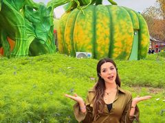 -水上乐园·欢乐世界