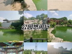 -中国唐苑