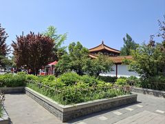 -神州牡丹园