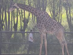 -鄂尔多斯野生动物园