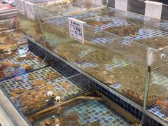 -天盛海鲜烧烤大排档·本地小海鲜·牟平腿穗子(幸福店)