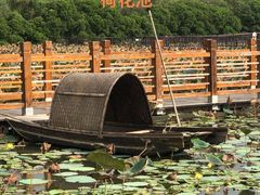 -大湾区中央湿地公园