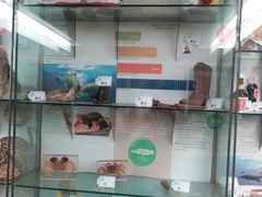 -纽瓦克自由国际机场